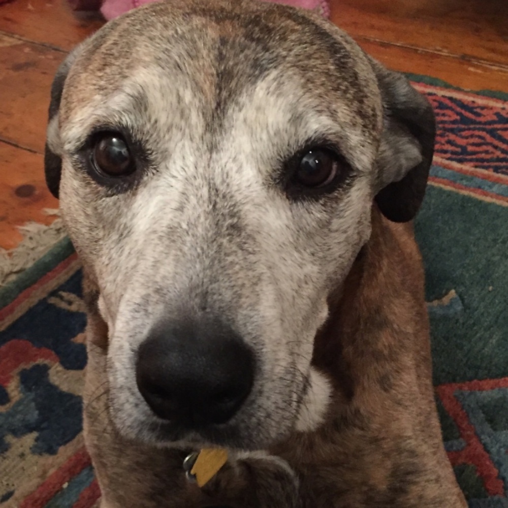 Meet your Posher, Jenny